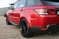 Land Rover Range Rover Sport HSE 3.0 TDV6 HSE Dynamic/ACC/ Rojo - thumbnail 7