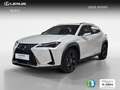Lexus UX 300h 2.0  Plus Weiß - thumbnail 1