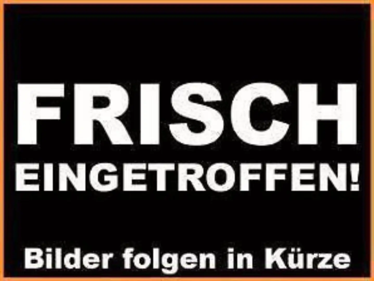 Ford Puma ST-Line X Gris - 1