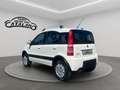 Fiat Panda 1.2 4x4 Climbing Blanc - thumbnail 3