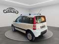 Fiat Panda 1.2 4x4 Climbing Blanc - thumbnail 24
