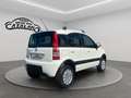 Fiat Panda 1.2 4x4 Climbing Blanc - thumbnail 5