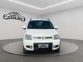 Fiat Panda 1.2 4x4 Climbing Blanc - thumbnail 7