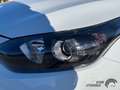 Kia Ceed / cee'd 1.5 T-GDI Vision DCT7 Komfort-Paket+Navi+Parksenso Weiß - thumbnail 3