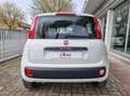 Fiat Panda 1.2 Pop s&s 69cv OK NEOPATENTATI Blanc - thumbnail 4