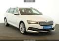 Skoda Superb Superb Combi 1.4 TSI iV Style #19Z#STHZ#ACC#CAM# Weiß - thumbnail 8