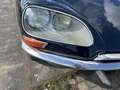 Citroen DS DS 21 m pallas Blu/Azzurro - thumbnail 14