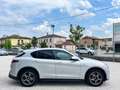 Alfa Romeo Stelvio 2.2 Turbodiesel 190 CV AT8 Q4 Sprint Argento - thumbnail 14