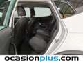 SEAT Arona 1.0 TSI S&S Style XM 110 Blanco - thumbnail 9