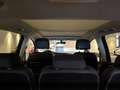 Volkswagen Touran Touran Sky 1,6 SCR TDI *1. Besitz/Pickerl neu* Grau - thumbnail 22