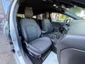 Ford Focus 1.0 EcoBoost Hybrid 125 CV Powershift SW ST-Line Grigio - thumbnail 9