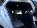 Ford Focus 1.0 EcoBoost Hybrid 125 CV Powershift SW ST-Line Grigio - thumbnail 12