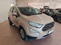 Ford EcoSport 1.5 TDCi 100 cv S&S EcoBlue Titanium Beige - thumbnail 4