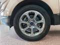 Ford EcoSport 1.5 TDCi 100 cv S&S EcoBlue Titanium Beige - thumbnail 10