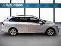 Volkswagen Golf Life 2.0 TDI Silber - thumbnail 3
