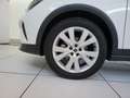 SEAT Arona Arona 2022 1.0 ecotsi Xperience 95cv Weiß - thumbnail 17