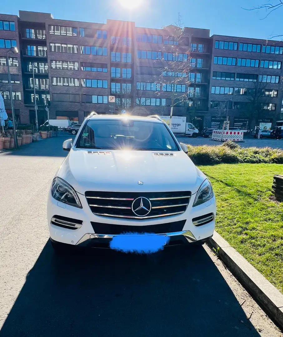 Mercedes-Benz ML 250 BlueTEC 4MATIC 7G-TRONIC - 1