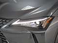 Lexus UX 300h 2.0  Plus Grau - thumbnail 38