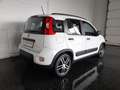 Fiat Panda FireFly 4x2 Hybrid *KLIMA / ALUFELGEN / SITZHEI... Weiß - thumbnail 2