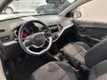 Kia Picanto 1.0 Start Weiß - thumbnail 11