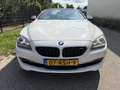 BMW 640 6-serie Cabrio 640i High Executive / AUTOMAAT / LE Wit - thumbnail 20