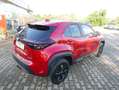 Toyota Yaris Cross Hybrid FWD Comfort Rouge - thumbnail 8