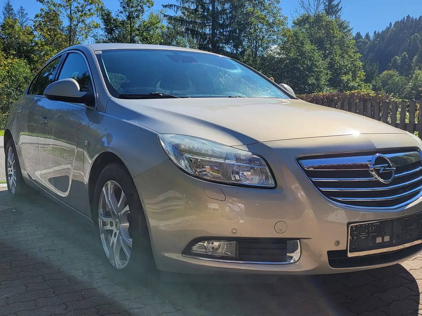 Opel Insignia Insignia 2,0 Edition CDTI DPF Ecotec Edition Beige - 2