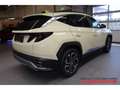 Hyundai TUCSON MY25 Prime Hybrid 1.6 T-GDi 2WD 215 PS Taxi-Paket Grün - thumbnail 4
