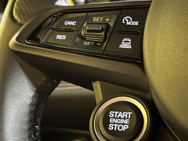 Alfa Romeo Tonale view 13