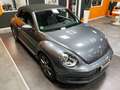 Volkswagen Maggiolino Cabrio 2.0 Tdi Sport 110cv Grau - thumbnail 42