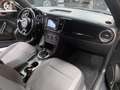 Volkswagen Maggiolino Cabrio 2.0 Tdi Sport 110cv Grau - thumbnail 32