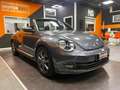 Volkswagen Maggiolino Cabrio 2.0 Tdi Sport 110cv Grau - thumbnail 6