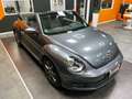 Volkswagen Maggiolino Cabrio 2.0 Tdi Sport 110cv Grau - thumbnail 7