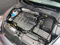 Volkswagen Maggiolino Cabrio 2.0 Tdi Sport 110cv Grau - thumbnail 40