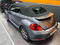 Volkswagen Maggiolino Cabrio 2.0 Tdi Sport 110cv Grau - thumbnail 47