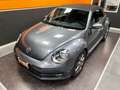 Volkswagen Maggiolino Cabrio 2.0 Tdi Sport 110cv Grau - thumbnail 43