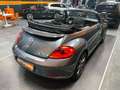 Volkswagen Maggiolino Cabrio 2.0 Tdi Sport 110cv Grau - thumbnail 14