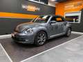 Volkswagen Maggiolino Cabrio 2.0 Tdi Sport 110cv Grau - thumbnail 44
