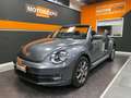 Volkswagen Maggiolino Cabrio 2.0 Tdi Sport 110cv Grau - thumbnail 3