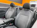 Volkswagen Maggiolino Cabrio 2.0 Tdi Sport 110cv Grau - thumbnail 19