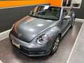 Volkswagen Maggiolino Cabrio 2.0 Tdi Sport 110cv Grau - thumbnail 8