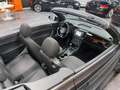 Volkswagen Maggiolino Cabrio 2.0 Tdi Sport 110cv Grau - thumbnail 18