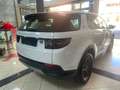 Land Rover Discovery Sport 2.0d i4 S awd 150cv auto Bianco - thumbnail 6