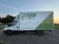 Iveco Daily IVECO Daily 35S12 4100. Weiß - thumbnail 9