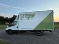 Iveco Daily IVECO Daily 35S12 4100. Weiß - thumbnail 5
