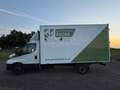 Iveco Daily IVECO Daily 35S12 4100. Weiß - thumbnail 6