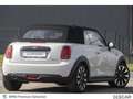 MINI Cooper Cabrio Cooper Cabrio MINI Cooper Cabriolet Gris - thumbnail 18