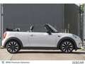 MINI Cooper Cabrio Cooper Cabrio MINI Cooper Cabriolet Gris - thumbnail 3