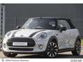 MINI Cooper Cabrio Cooper Cabrio MINI Cooper Cabriolet Gris - thumbnail 17