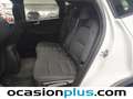 Ford Kuga 1.5 EcoBoost Titanium FWD 150 Blanc - thumbnail 16
